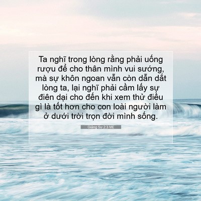 Picture 07 - Giảng Sư 2:3 VIE - Ta nghĩ trong lòng rằng phải uống rượu - Bible Verse Picture