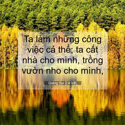 Picture 07 - Giảng Sư 2:4 VIE - Ta làm những công việc cả thể; ta cất - Bible Verse Picture
