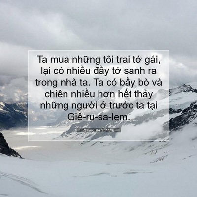 Picture 07 - Giảng Sư 2:7 VIE - Ta mua những tôi trai tớ gái, lại có - Bible Verse Picture