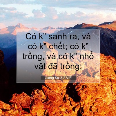 Picture 07 - Giảng Sư 3:2 VIE - Có k” sanh ra, và có k” chết; có k” - Bible Verse Picture
