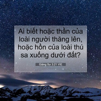 Picture 07 - Giảng Sư 3:21 VIE - Ai biết hoặc thần của loài người - Bible Verse Picture