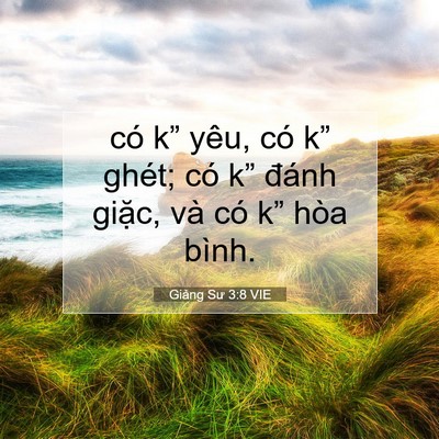 Picture 07 - Giảng Sư 3:8 VIE - có k” yêu, có k” ghét; có k” đánh - Bible Verse Picture