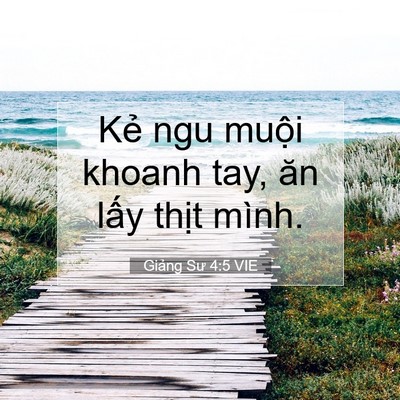 Picture 07 - Giảng Sư 4:5 VIE - Kẻ ngu muội khoanh tay, ăn lấy thịt - Bible Verse Picture