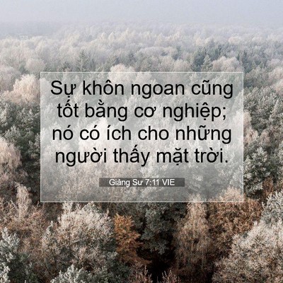 Picture 07 - Giảng Sư 7:11 VIE - Sự khôn ngoan cũng tốt bằng cơ nghiệp; - Bible Verse Picture
