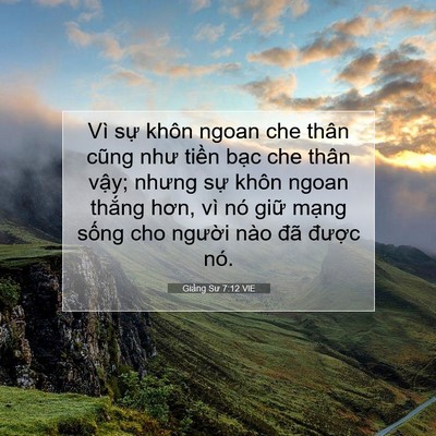 Picture 07 - Giảng Sư 7:12 VIE - Vì sự khôn ngoan che thân cũng như tiền - Bible Verse Picture