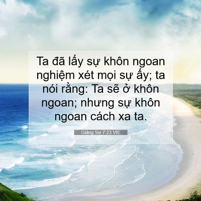 Picture 07 - Giảng Sư 7:23 VIE - Ta đã lấy sự khôn ngoan nghiệm xét - Bible Verse Picture