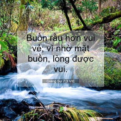 Picture 07 - Giảng Sư 7:3 VIE - Buồn rầu hơn vui vẻ; vì nhờ mặt - Bible Verse Picture