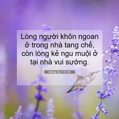 Picture 07 - Giảng Sư 7:4 VIE - Lòng người khôn ngoan ở trong nhà tang - Bible Verse Picture