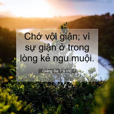 Picture 07 - Giảng Sư 7:9 VIE - Chớ vội giận; vì sự giận ở trong - Bible Verse Picture