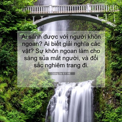 Picture 07 - Giảng Sư 8:1 VIE - Ai sánh được với người khôn ngoan? Ai - Bible Verse Picture