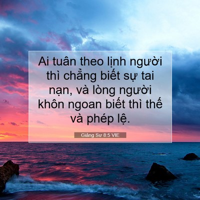 Picture 07 - Giảng Sư 8:5 VIE - Ai tuân theo lịnh người thì chẳng biết - Bible Verse Picture