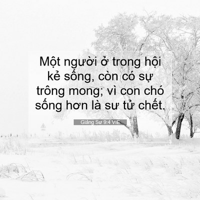Picture 07 - Giảng Sư 9:4 VIE - Một người ở trong hội kẻ sống, còn - Bible Verse Picture