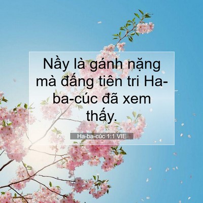 Picture 07 - Ha-ba-cúc 1:1 VIE - Nầy là gánh nặng mà đấng tiên tri - Bible Verse Picture