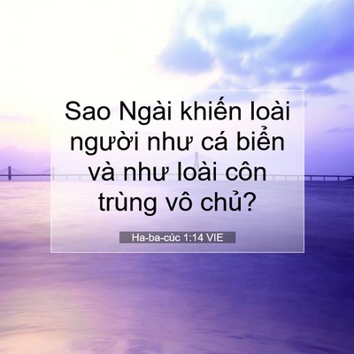 Picture 07 - Ha-ba-cúc 1:14 VIE - Sao Ngài khiến loài người như cá biển - Bible Verse Picture