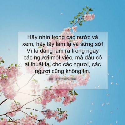 Picture 07 - Ha-ba-cúc 1:5 VIE - Hãy nhìn trong các nước và xem, hãy lấy - Bible Verse Picture