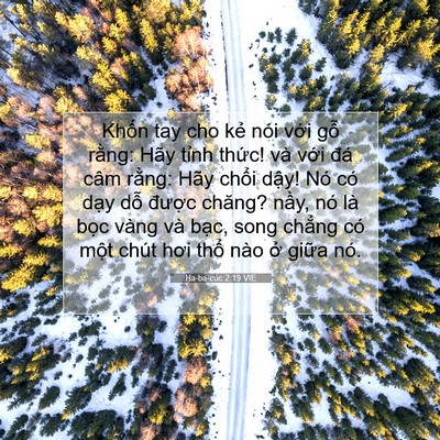 Picture 07 - Ha-ba-cúc 2:19 VIE - Khốn tay cho kẻ nói với gỗ rằng: Hãy - Bible Verse Picture