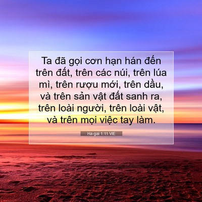 Picture 07 - Ha-gai 1:11 VIE - Ta đã gọi cơn hạn hán đến trên - Bible Verse Picture