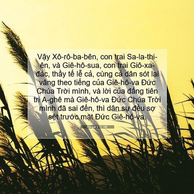 Picture 07 - Ha-gai 1:12 VIE - Vậy Xô-rô-ba-bên, con trai Sa-la-thi-ên, - Bible Verse Picture