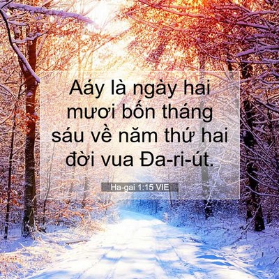 Picture 07 - Ha-gai 1:15 VIE - Aáy là ngày hai mươi bốn tháng sáu về - Bible Verse Picture