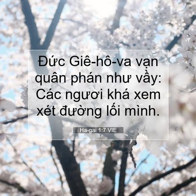 Picture 07 - Ha-gai 1:7 VIE - Đức Giê-hô-va vạn quân phán như vầy: - Bible Verse Picture
