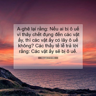 Picture 07 - Ha-gai 2:13 VIE - A-ghê lại rằng: Nếu ai bị ô uế vì - Bible Verse Picture