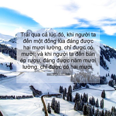 Picture 07 - Ha-gai 2:16 VIE - Trải qua cả lúc đó, khi người ta đến - Bible Verse Picture