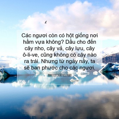 Picture 07 - Ha-gai 2:19 VIE - Các ngươi còn có hột giống nơi hầm - Bible Verse Picture