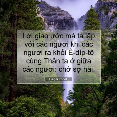 Picture 07 - Ha-gai 2:5 VIE - Lời giao ước mà ta lập với các ngươi - Bible Verse Picture