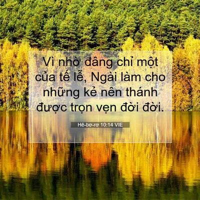 Picture 07 - Hê-bơ-rơ 10:14 VIE - Vì nhờ dâng chỉ một của tế lễ, - Bible Verse Picture