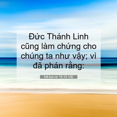 Picture 07 - Hê-bơ-rơ 10:15 VIE - Đức Thánh Linh cũng làm chứng cho chúng - Bible Verse Picture