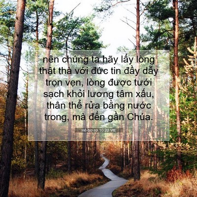 Picture 07 - Hê-bơ-rơ 10:22 VIE - nên chúng ta hãy lấy lòng thật thà với - Bible Verse Picture