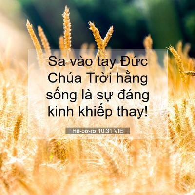 Picture 07 - Hê-bơ-rơ 10:31 VIE - Sa vào tay Đức Chúa Trời hằng sống là - Bible Verse Picture