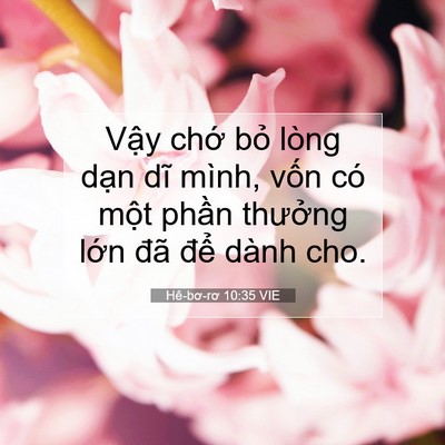 Picture 07 - Hê-bơ-rơ 10:35 VIE - Vậy chớ bỏ lòng dạn dĩ mình, vốn có - Bible Verse Picture