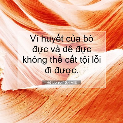 Picture 07 - Hê-bơ-rơ 10:4 VIE - Vì huyết của bò đực và dê đực - Bible Verse Picture