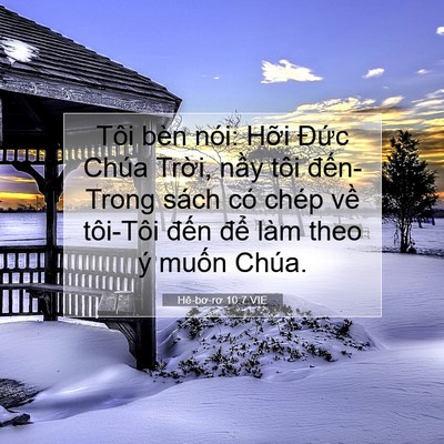 Picture 07 - Hê-bơ-rơ 10:7 VIE - Tôi bèn nói: Hỡi Đức Chúa Trời, nầy - Bible Verse Picture