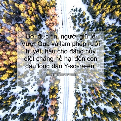 Picture 07 - Hê-bơ-rơ 11:28 VIE - Bởi đức tin, người giữ lễ Vượt Qua - Bible Verse Picture