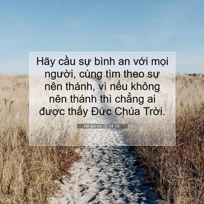 Picture 07 - Hê-bơ-rơ 12:14 VIE - Hãy cầu sự bình an với mọi người, - Bible Verse Picture