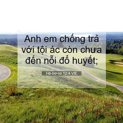 Picture 07 - Hê-bơ-rơ 12:4 VIE - Anh em chống trả với tội ác còn chưa - Bible Verse Picture