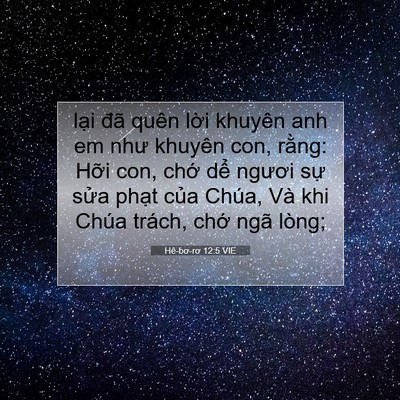 Picture 07 - Hê-bơ-rơ 12:5 VIE - lại đã quên lời khuyên anh em như - Bible Verse Picture