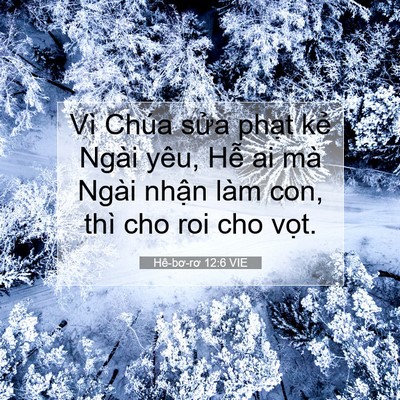Picture 07 - Hê-bơ-rơ 12:6 VIE - Vì Chúa sửa phạt kẻ Ngài yêu, Hễ ai - Bible Verse Picture