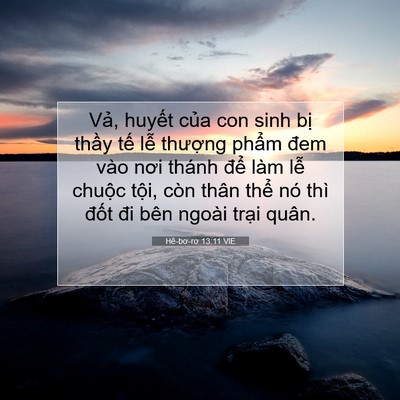 Picture 07 - Hê-bơ-rơ 13:11 VIE - Vả, huyết của con sinh bị thầy tế - Bible Verse Picture