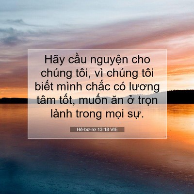 Picture 07 - Hê-bơ-rơ 13:18 VIE - Hãy cầu nguyện cho chúng tôi, vì chúng - Bible Verse Picture