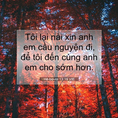 Picture 07 - Hê-bơ-rơ 13:19 VIE - Tôi lại nài xin anh em cầu nguyện đi, - Bible Verse Picture