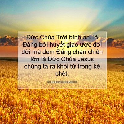 Picture 07 - Hê-bơ-rơ 13:20 VIE - Đức Chúa Trời bình an, là Đấng bởi - Bible Verse Picture