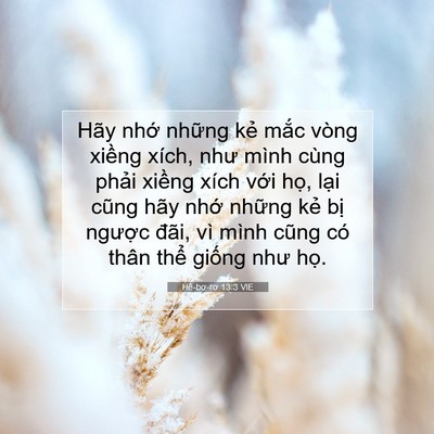 Picture 07 - Hê-bơ-rơ 13:3 VIE - Hãy nhớ những kẻ mắc vòng xiềng - Bible Verse Picture