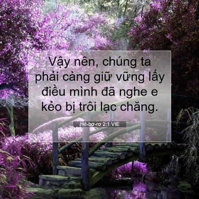 Picture 07 - Hê-bơ-rơ 2:1 VIE - Vậy nên, chúng ta phải càng giữ vững - Bible Verse Picture