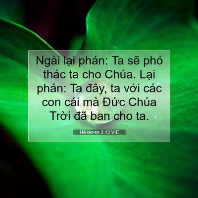 Picture 07 - Hê-bơ-rơ 2:13 VIE - Ngài lại phán: Ta sẽ phó thác ta cho - Bible Verse Picture