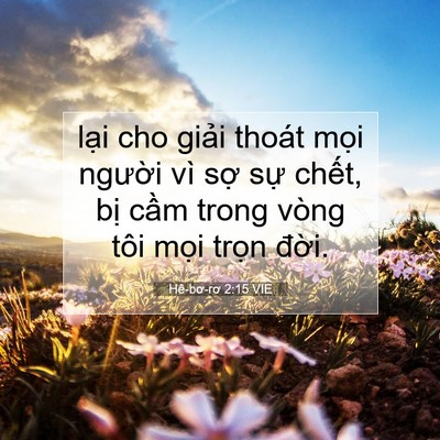 Picture 07 - Hê-bơ-rơ 2:15 VIE - lại cho giải thoát mọi người vì sợ - Bible Verse Picture