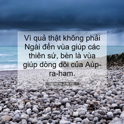 Picture 07 - Hê-bơ-rơ 2:16 VIE - Vì quả thật không phải Ngài đến vùa - Bible Verse Picture