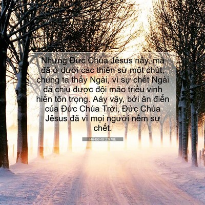 Picture 07 - Hê-bơ-rơ 2:9 VIE - Nhưng Đức Chúa Jêsus nầy, mà đã ở - Bible Verse Picture